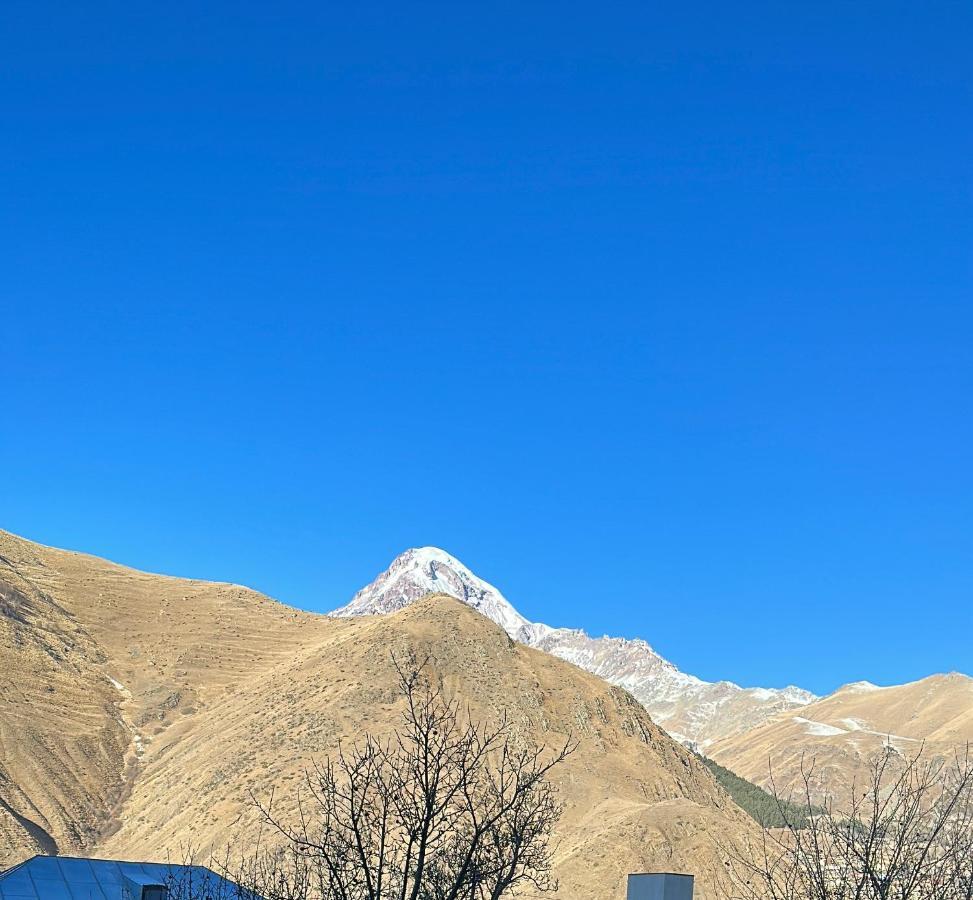 Dachi Inn Kazbegi Dış mekan fotoğraf
